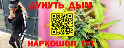 шишки Новодвинск