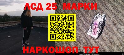 шишки Новодвинск