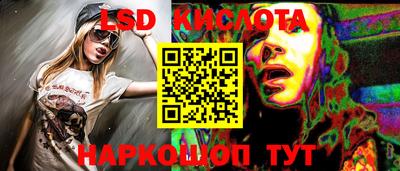 гидропоника Новозыбков