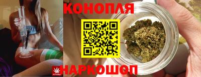 шишки Новодвинск
