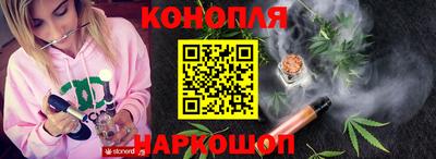 шишки Новодвинск