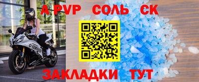 шишки Новодвинск