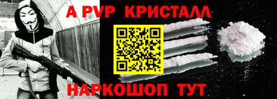 шишки Новодвинск