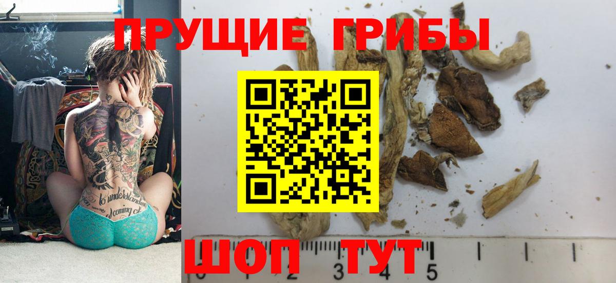 Североуральск  хочу   Вход с VPN  Галлюциногенные грибы мухоморы  Галлюциногенные грибы Cubensis 